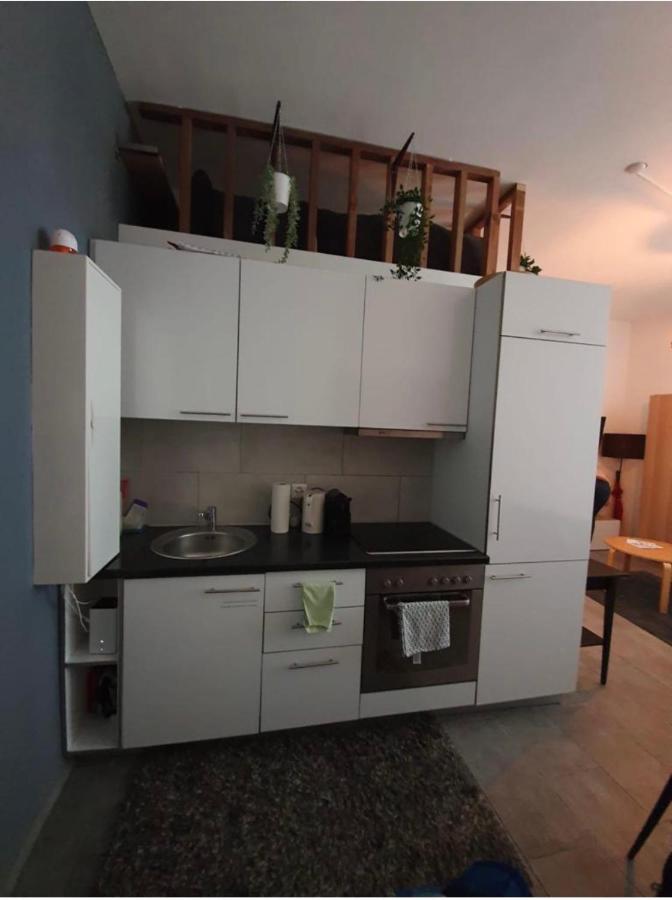 Modern Studio With Mezzanine Le Mont-Sur-Lausanne Екстер'єр фото
